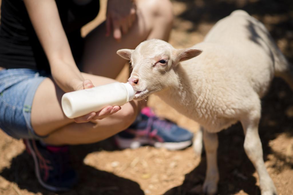 Agroturismo Sa Marina Βίλα Alquería Blanca Εξωτερικό φωτογραφία